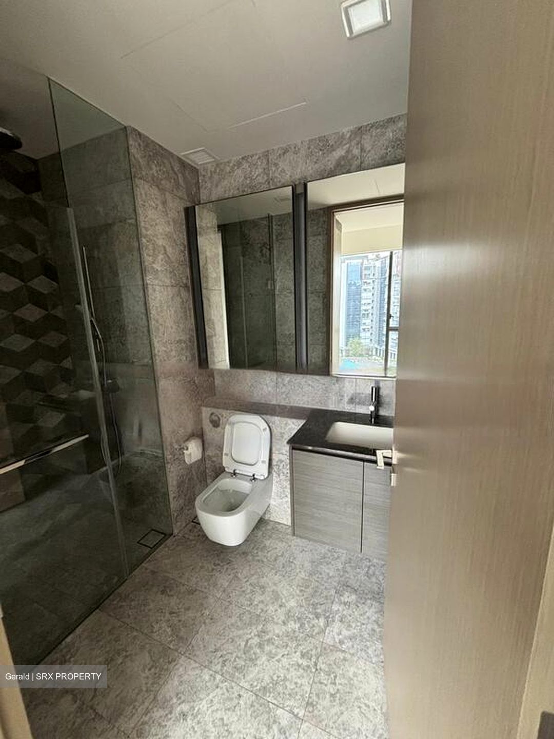 Leedon Green (D10), Condominium #528351711